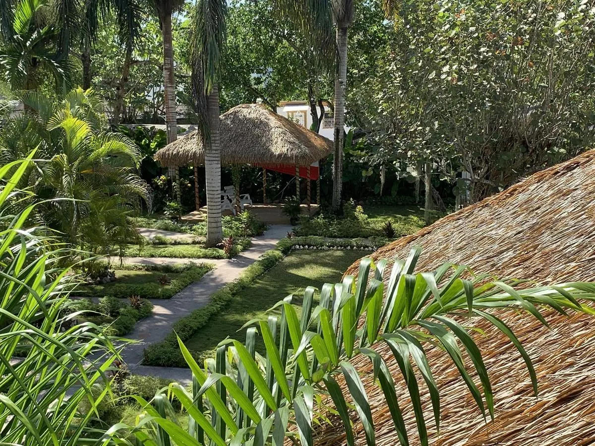 King Suite At Oceanview Resort In Jamaica - Enjoy 7 Miles Of White Sand Beach! Negril Giamaica
